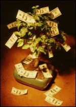 Money growing on a tree.