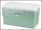 Plastic insulated cooler