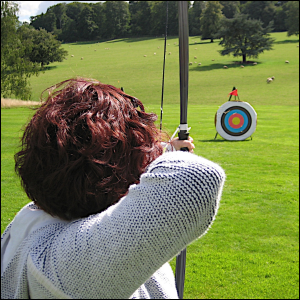 Bulleye archery range target with arrows.