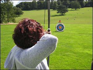 Aiming an arrow at a target, symbolic of financial goals.