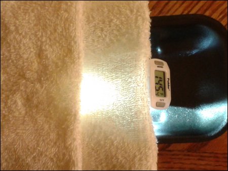 This photo shows a Bantam HB-62 mini flashlight shining under two dishcloths next to a digital thermometer, on top of a black foam tray. The read out from the digital thermometer says 145.4 degrees F.