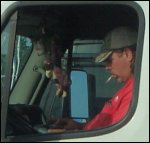 Cigarette smoking professional truck driver; picture taken from driver side of truck.