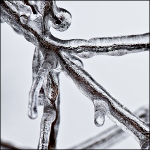 Coating of ice on tree branches. Ice can build up like this on truck parts, too.