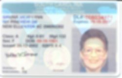 A Commercial Driver's License