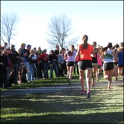 Crowd cheering runners to finish the race.