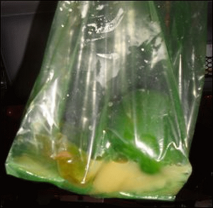 Do Green Bags really save you green? (with video)