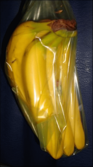 Bananas in a Debbie Meyers Green Bag.
