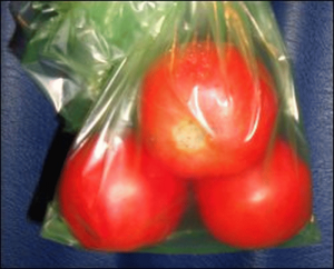 Tomatoes in a Debbie Meyers Green Bag.