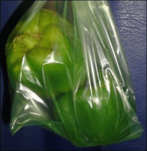 Green peppers in a Debbie Meyers Green Bag.