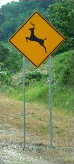 A deer crossing sign.