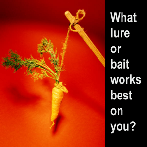 Dangling carrot as an incentive or lure. What lure or bait works best on you?