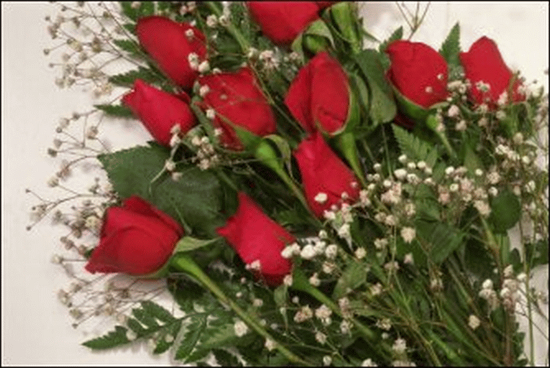 A bunch of red roses