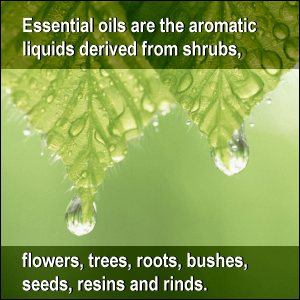 Essential oils are the aromatic liquids derived from shrubs, flowers, trees, roots, bushes, seeds, resins and rinds.