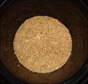 After the crock pot was thoroughly sprayed with non-stick spray, the raw Amish Baked Oatmeal mixture was put in it.