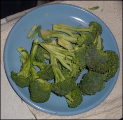 Broccoli crowns that have been prepared for steaming.