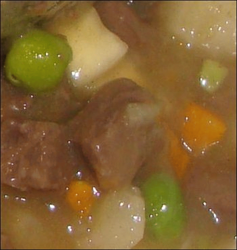 A close-up view of the rehydrated Mountain House Beef Stew. See the potatoes, carrots, peas and beef nestling in the gravy.