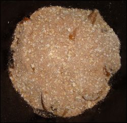 The dry oatmeal mixture is spread on top of the peaches in the bottom of the crock pot.