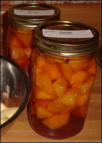 Home canned peaches that will go into a batch of peach crisp.
