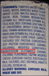 The listing of ingredients in the canned ravioli, highlighting the ingredient monosodium glutamate, also known as MSG.