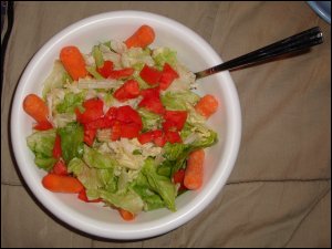 Salad with lettuce, tomatoes and baby carrots.