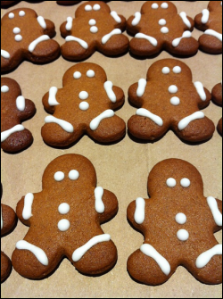 Mass production of gingerbread men is symbolic of students being pushed through a CDL mill.