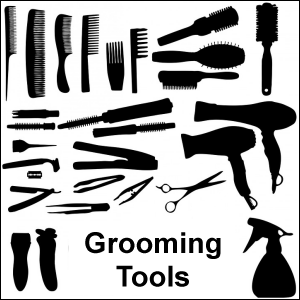 Grooming tools include a hairdryer, hair brush, comb, razor and more.