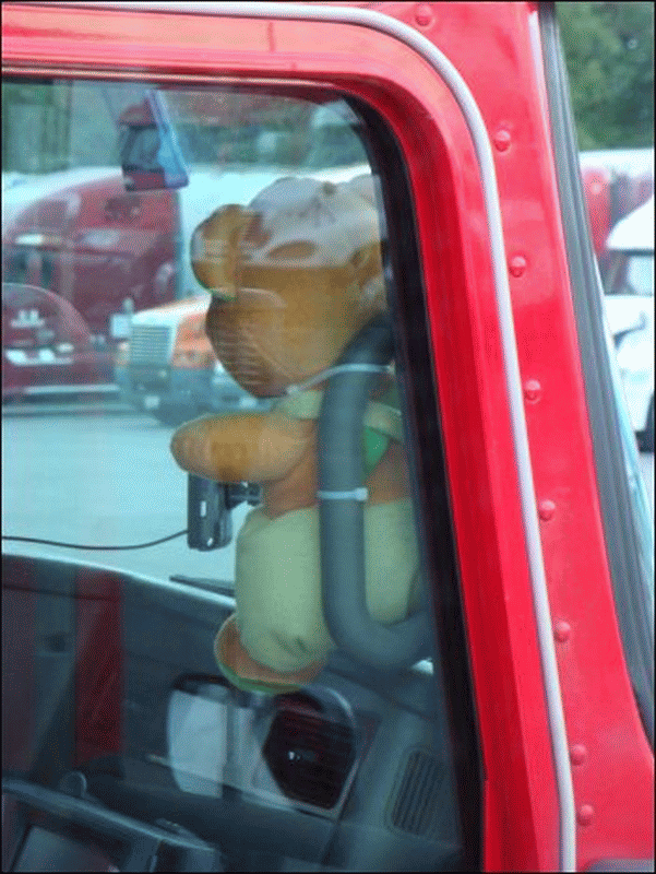 Close-up of a stuffed animal is strapped to a handle on the passenger side of a large truck.