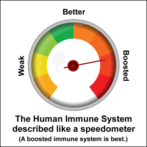 The Human Immune System described like a speedometer. (A boosted immune system is best.)