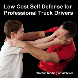 Low Cost Self Defense for Professional Truck Drivers