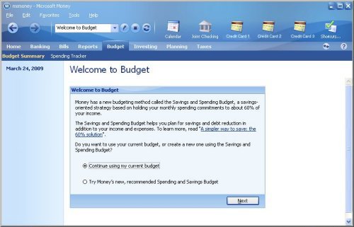 MS Money Software Tab Budget