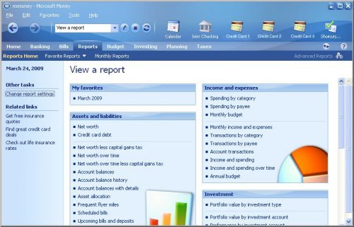 MS Money Software Tab Reports