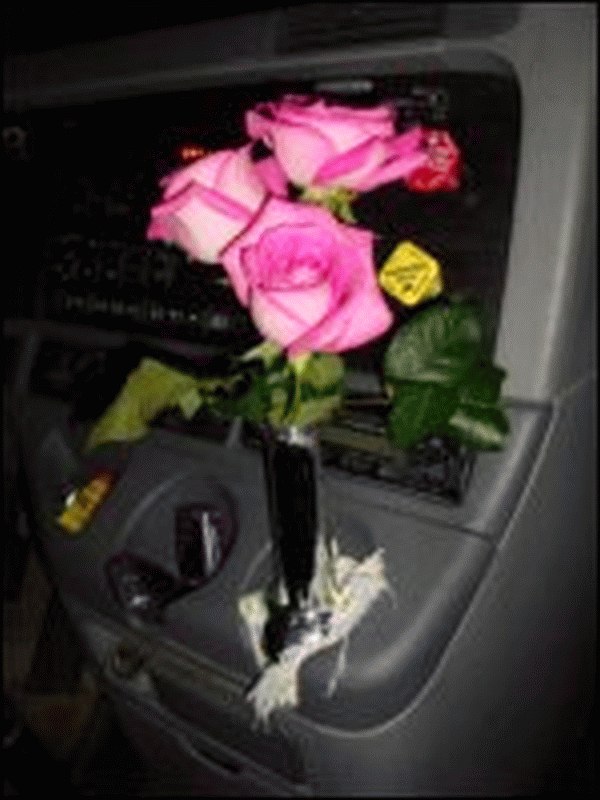 Three pink roses in a vase in the drink cup holder of a Freightliner truck.