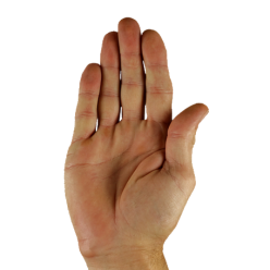 Hand up, symbolizing a police officer signaling to stop.