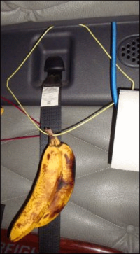 Hanging bananas from a regular wire hanger.