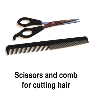 Scissors and comb for cutting hair.