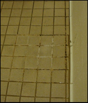 The mold or mildew between the tiles in the floor of the shower stall of Shower #7 at the Flying J at Kenly, NC.