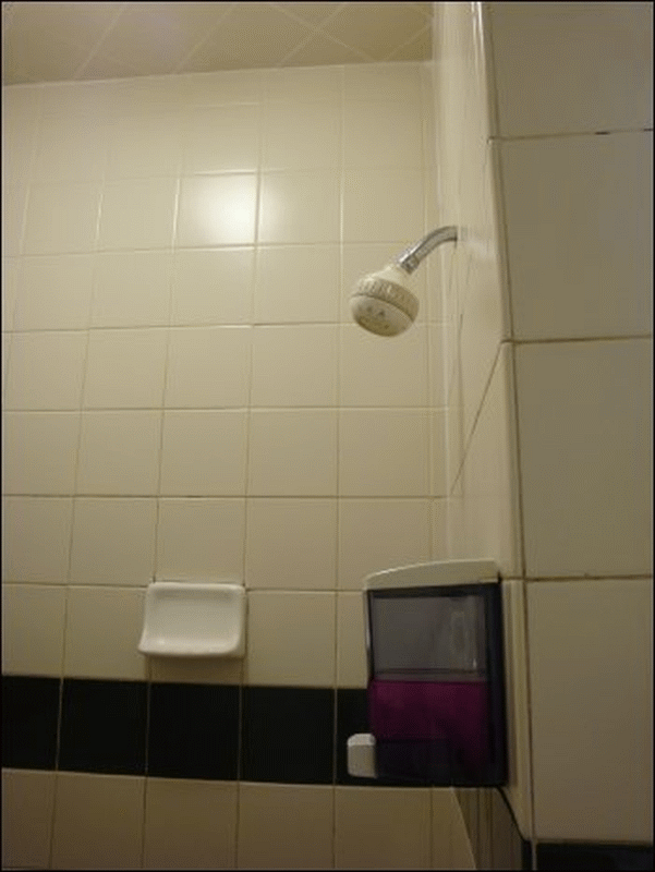 The view of the shower head, soap dispenser and soap holder in Shower #5 at the Flying J in Rock Hill, SC.