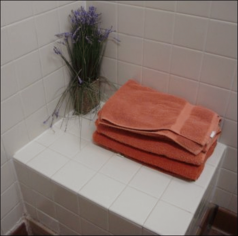 The built-in seat in Shower #1 at the Petro 2 in Kingsland, GA, was large enough for my oversized shower bag and had a small vase of flowers and two big, thirsty towels and a cloth bathmat.
