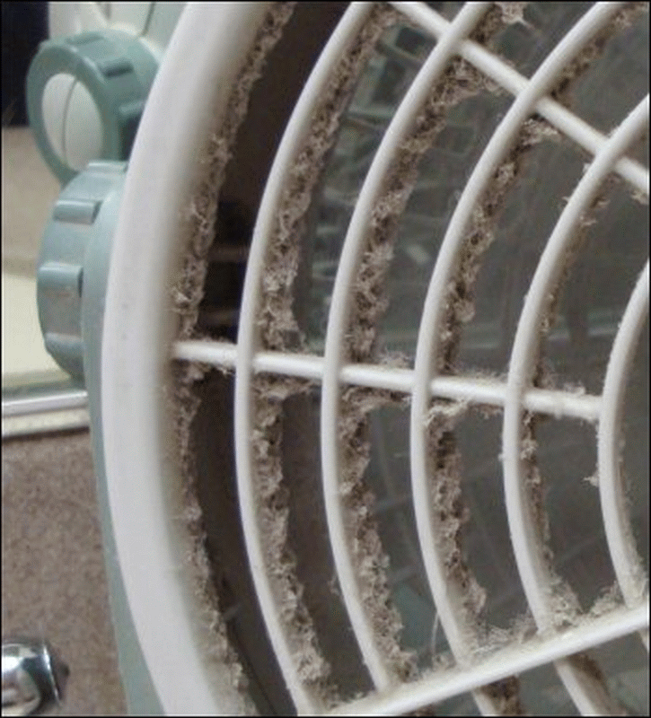 A close-up view of the left side of the table top fan on the counter in Shower #1 at the Petro 2 in Kingsland, GA, showing the heavy layer of dust that impeded air flow. The humidity in the room contributed to the accumulation of dust here.