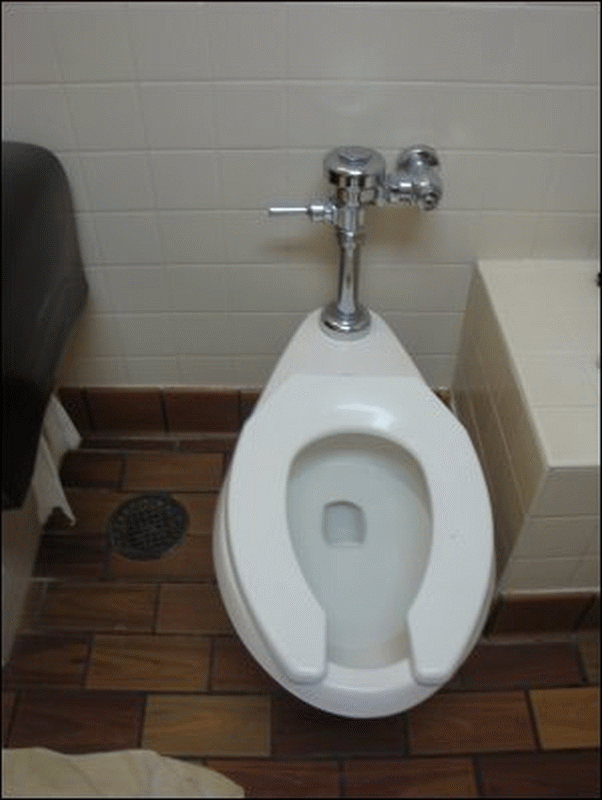 A photo showing the proximity of the toilet to the toilet paper dispenser and the built-in seat in Shower #3 at the Pilot Travel Center in Gaffney, SC.