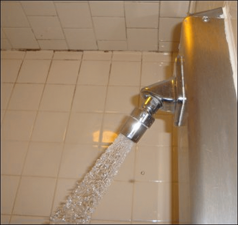 The narrowness of the spray from the showerhead in Shower #8 at the Pilot in Staunton, VA. Notice also the mold or mildew on the wall behind the showerhead, especially in the corner.