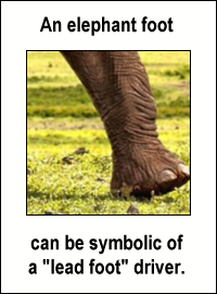 An elephant foot can be symbolic of a lead foot driver.