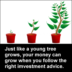 Just like a young tree grows, your money can grow when you follow the right imvestment advice.