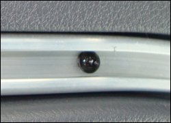 A close-up view of a screw holding the truck curtain track inside the truck's interior.