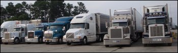 Truck stop parking lot with many trucks in parking spaces.