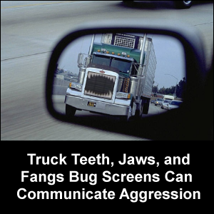 Truck teeth, jaws and fangs bug screens can communicate aggression.