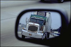 View of a truck with Jaws truck teeth bug screen on the front grill of a tractor trailer pulling a refrigerated van in a car mirror.