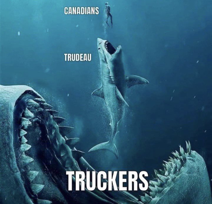 Person swimming: Canadians. 'Small' shark: Trudeau. 'Enormous' shark: Truckers