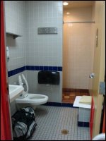 A typical shower at a truck stop, complete with shower stall, toilet, sink, mirror, electrical outlet, separate seat, towel and washcloth. This particular truckstop provided a towel rack, a shelf, a soap dispenser near the sink and a paper bath mat. Shown under the sink is our shower bag.