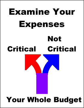 Examine your expenses from your whole budget. Which are critical and which are not critical?